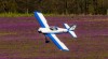 Van's RV-4 30cc ARF 85"