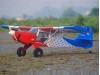 Sky Fox (gelb) / 2540 mm