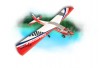 Convertible .46-.55 ARF plane