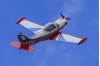 SIAI Marchetti SF-260 1:2.9 (Carf Models) Combo