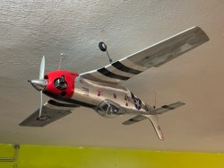 P51 Black Horse